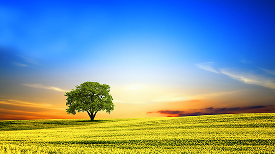 【上市20周年】勇立潮头四十余载，jiuyou.com信息以何基业长青？